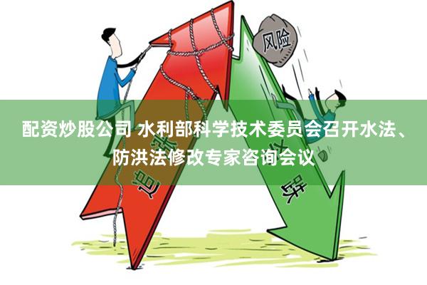 配资炒股公司 水利部科学技术委员会召开水法、防洪法修改专家咨询会议