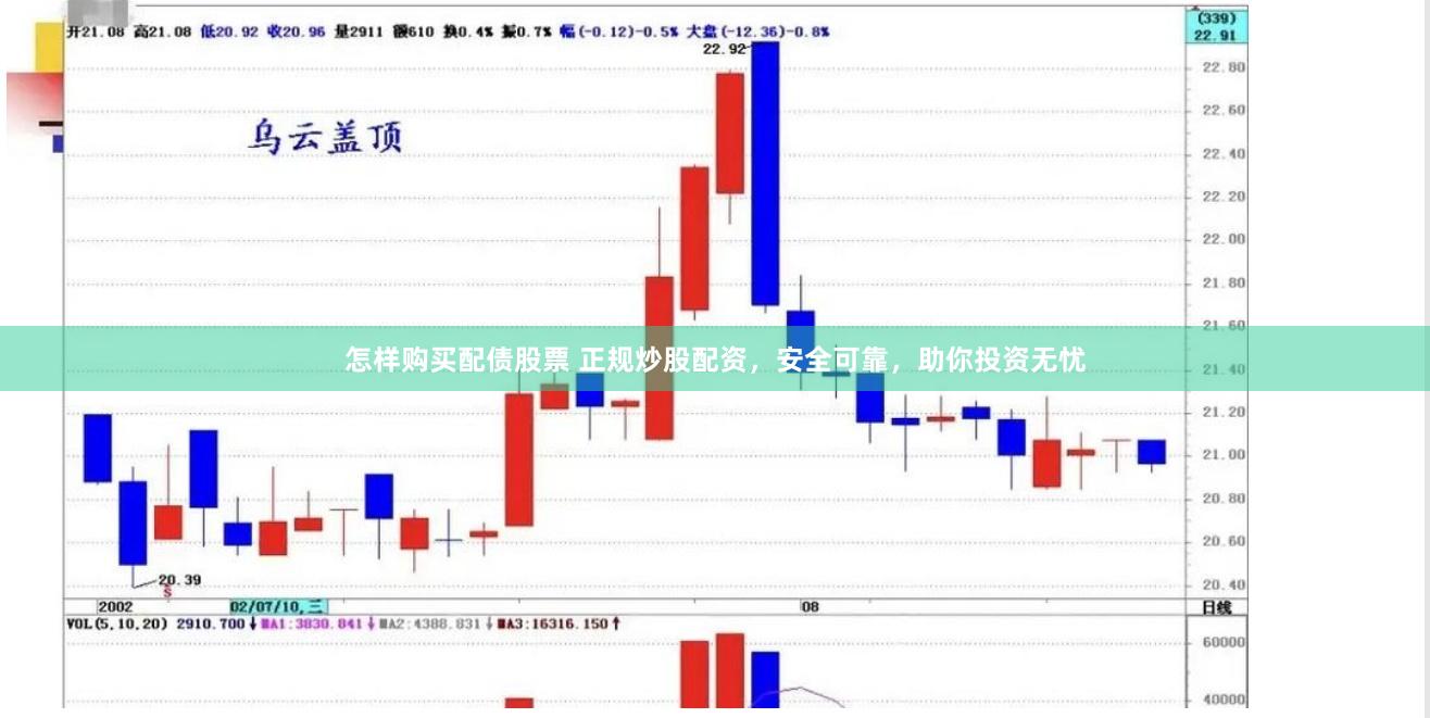 怎样购买配债股票 正规炒股配资，安全可靠，助你投资无忧