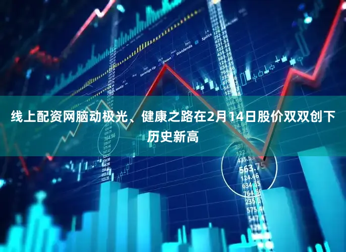 线上配资网脑动极光、健康之路在2月14日股价双双创下历史新高