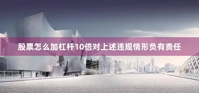 股票怎么加杠杆10倍对上述违规情形负有责任