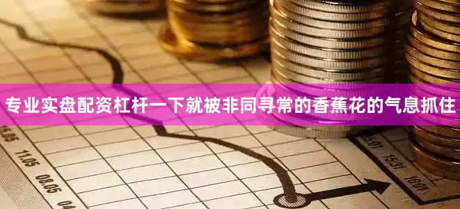 专业实盘配资杠杆一下就被非同寻常的香蕉花的气息抓住