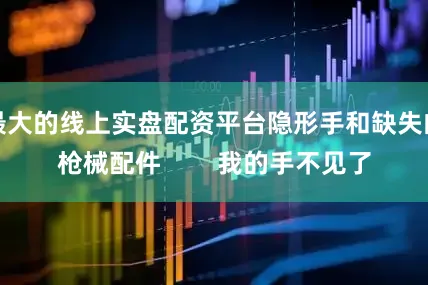 最大的线上实盘配资平台隐形手和缺失的枪械配件 我的手不见了