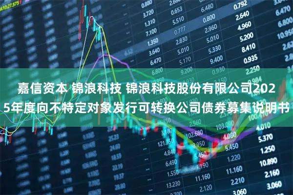 嘉信资本 锦浪科技 锦浪科技股份有限公司2025年度向不特定对象发行可转换公司债券募集说明书