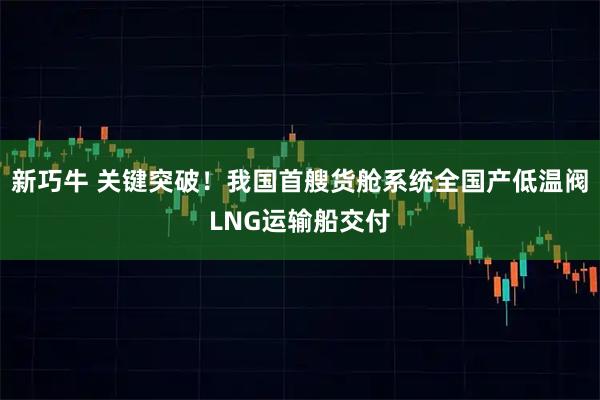 新巧牛 关键突破！我国首艘货舱系统全国产低温阀LNG运输船交付